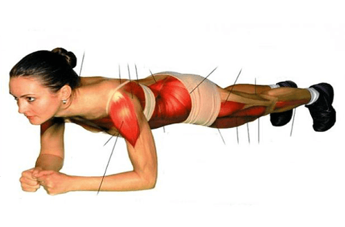 Tập plank có tác dụng giúp ngăn ngừa chấn thương