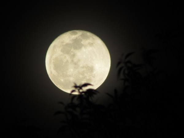 Thấy mặt trăng là phúc hay họa? Giải mã tránh hậu quả về sau