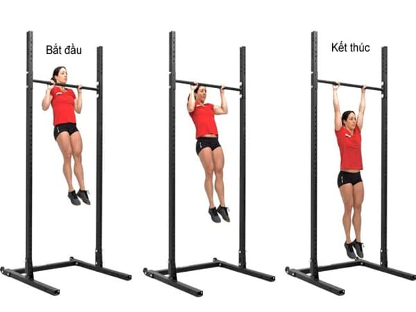 Bài tập kèo dài cột sống (Hanging Exercises)