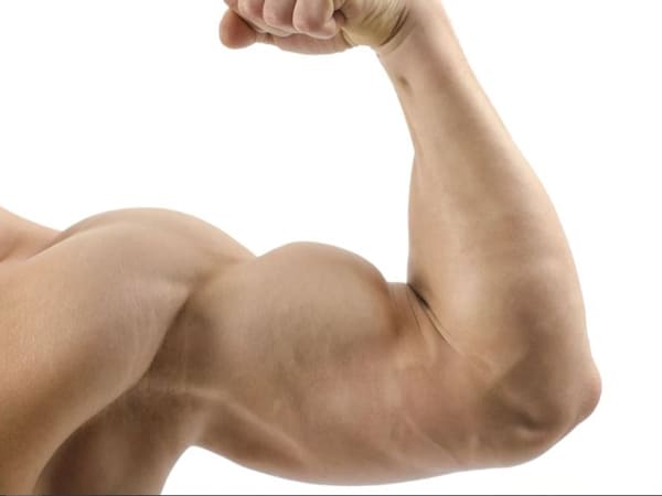 bài tập tăng cơ tay