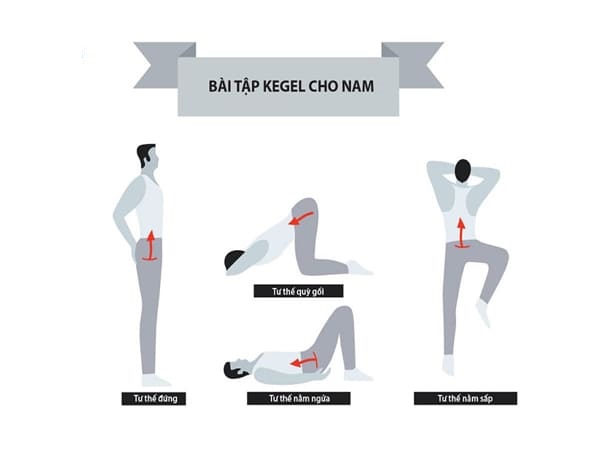 Hướng dẫn bài tập cho nam