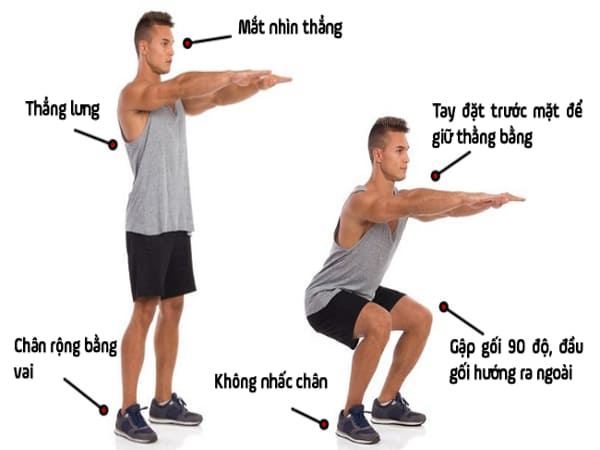 Tác dụng của bài tập Squat