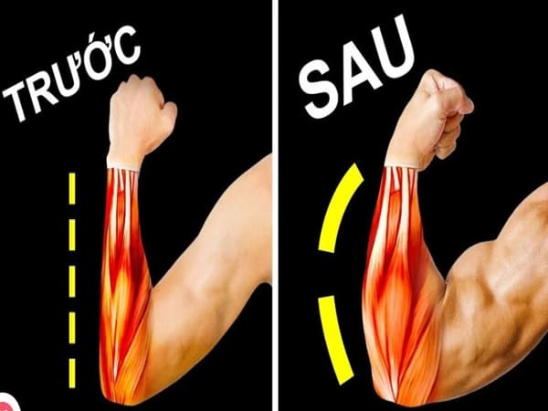 Tập cẳng tay là tập gì, tác dụng và phương pháp tập đúng cách