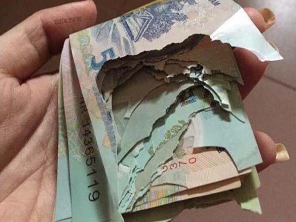 Trông thấy tờ tiền rách có con số nào may mắn?