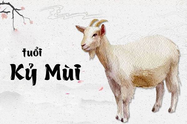 Tìm kiếm vận may với số may mắn tuổi Kỷ Mùi 23/1/2025