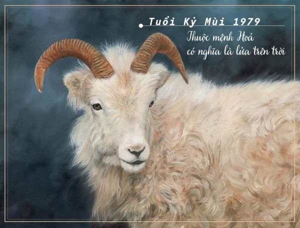 Phân tích số may mắn tuổi Kỷ Mùi 23/1/2025