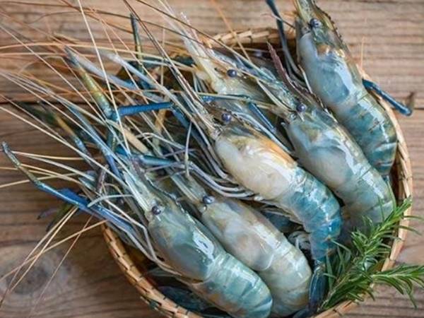 Giải mã con số may mắn khi thấy tôm càng xanh Giải mã con số may mắn khi thấy tôm càng xanh