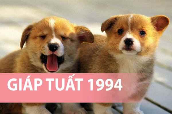 tuổi giáp tuất