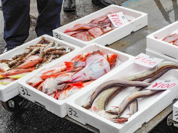 Luận giải điềm báo lành dữ từ giấc mơ thấy mua cá