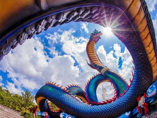 Ngủ mê thấy thần rắn xuất hiện giữa ban ngày