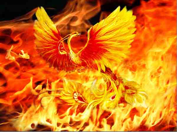 Mộng mị thấy phượng hoàng cất tiếng hót