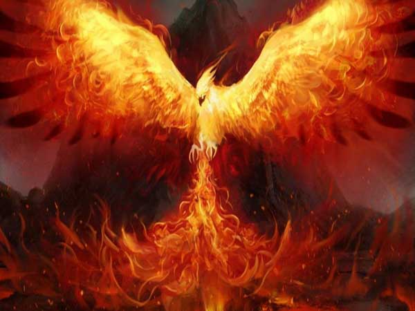 Nằm mơ thấy phượng hoàng – Bí ẩn, điềm báo và ý nghĩa sâu xa