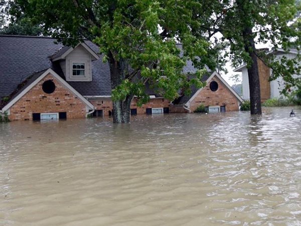 Cảnh giác trước điềm báo mơ thấy nước lũ dâng cao