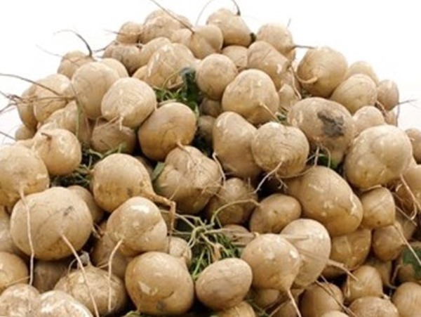 Nằm mơ thấy củ đậu có điềm gì tốt hay xấu?