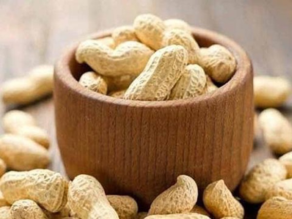 Ngủ mơ thấy củ lạc ẩn ý điềm báo tốt hay xấu?