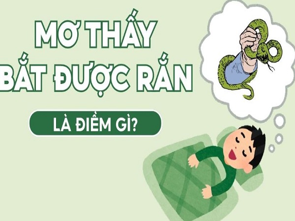 Nằm mơ thấy bắt được rắn báo hiệu vận mệnh sắp thay đổi