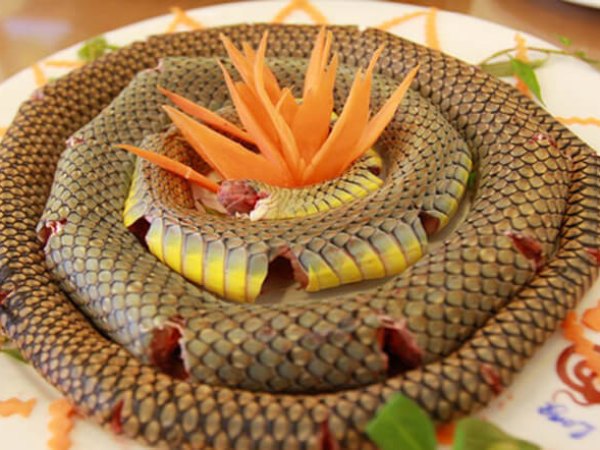 Nằm mơ thấy ăn thịt rắn là điềm gì may mắn hay xui xẻo