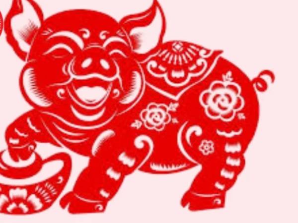 Vận trình tử vi ngày 26/3/2026 tuổi Hợi